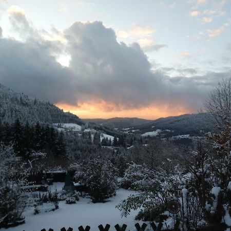 Gite Du Poirier Le Tholy Exteriör bild