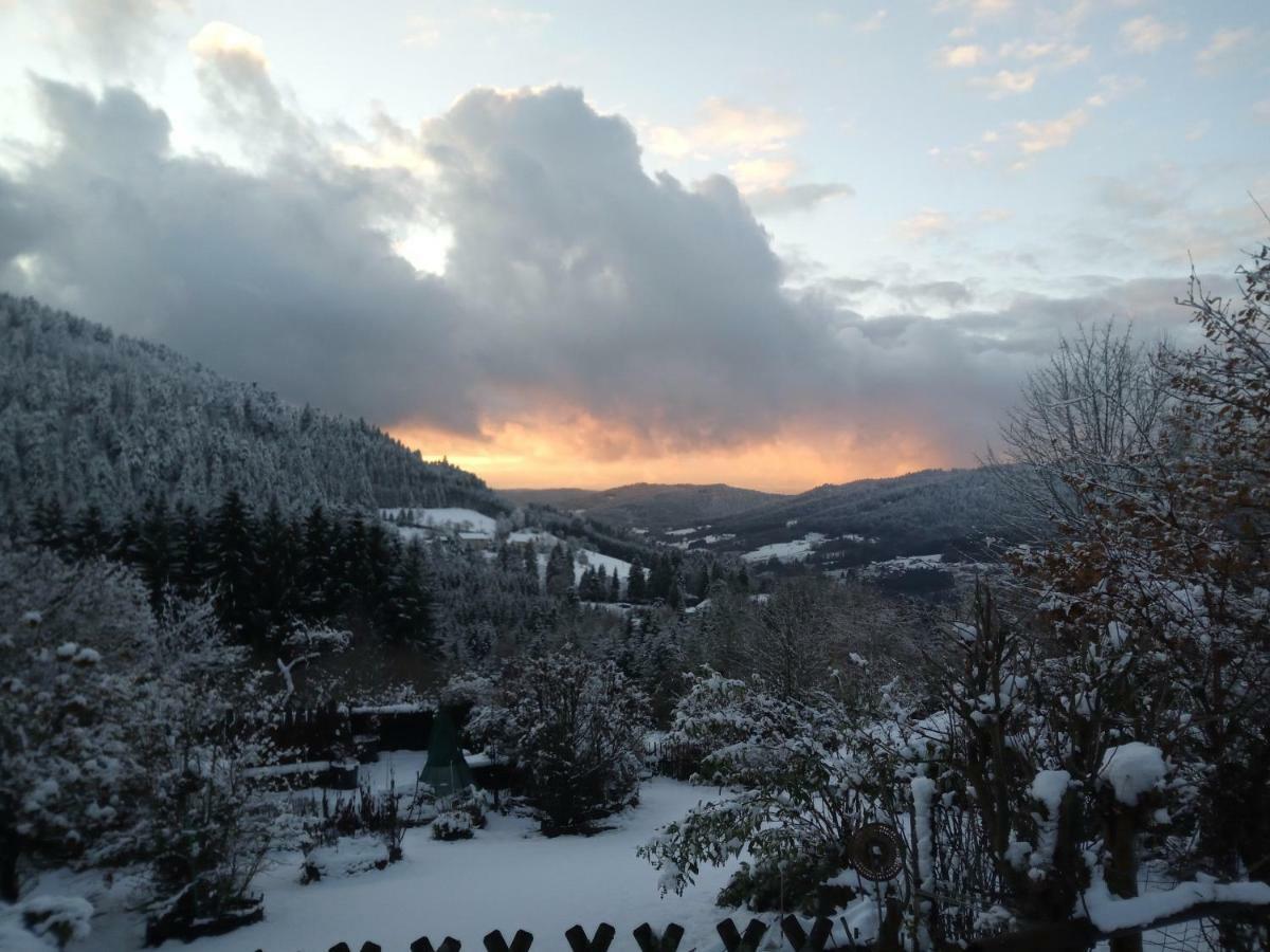 Gite Du Poirier Le Tholy Exteriör bild